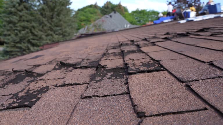 Fast & Reliable Emergency Roof Repairs in Canton, SD